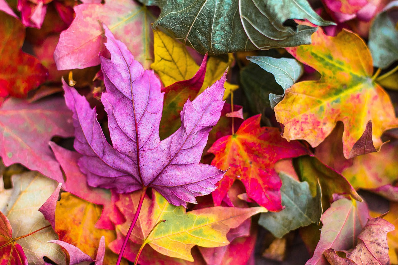 Les tendances bijoux DIY pour l’automne 2025 : nature, couleurs et personnalisation au cœur de la création