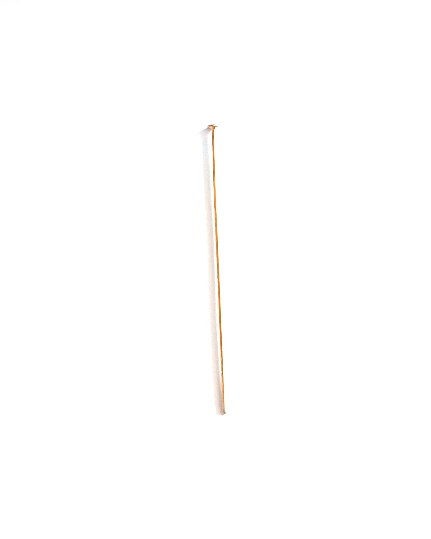 Clous tête plate acier inox doré - 40 mm x10