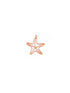 perlesetcreationbijoux-breloque-filigrane-etoile-de-mer-orange