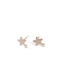 perlesetcreationbijoux-clous-doreilles-etoile-acier-inoxydable-argente-sbopu-53