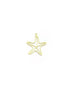 perlesetcreationbijoux-breloque-filigrane-etoile-de-mer-verte