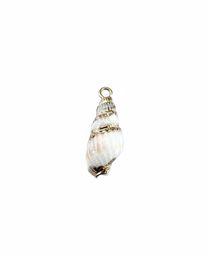 Breloque coquillage spirale fond blanc