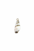 Breloque coquillage spirale fond blanc