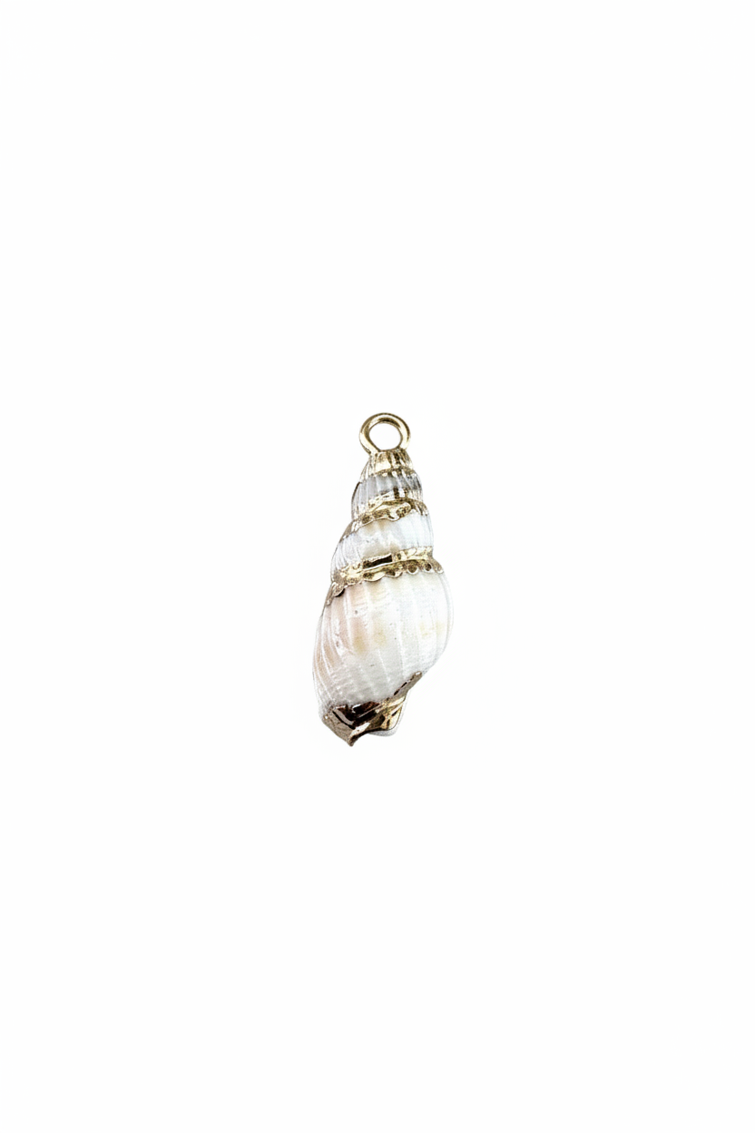 Breloque coquillage spirale fond blanc