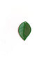 perlesetcreationbijoux-breloque-filigrane-feuille-22x13mm-verte
