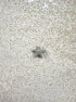 perlesetcreationbijoux - sequin émaillé étoile 12x13 mm gris