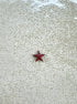 perlesetcreationbijoux - sequin émaillé étoile 12x13 mm rose